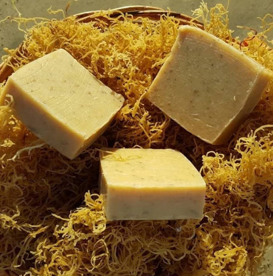 The Best Sea Moss Bar Soap for your Face & Body